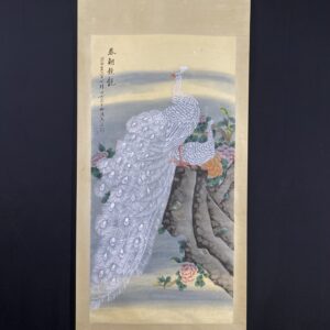 【田世光】白孔雀， 一物一圖，純手繪字畫 裱裝尺寸：約214*92cm左右 畫芯尺寸：約134＊67cm左右